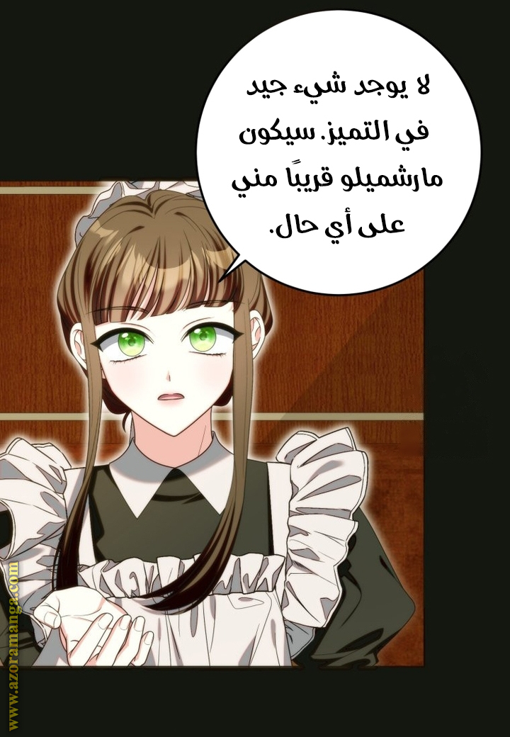 الصفحة 24