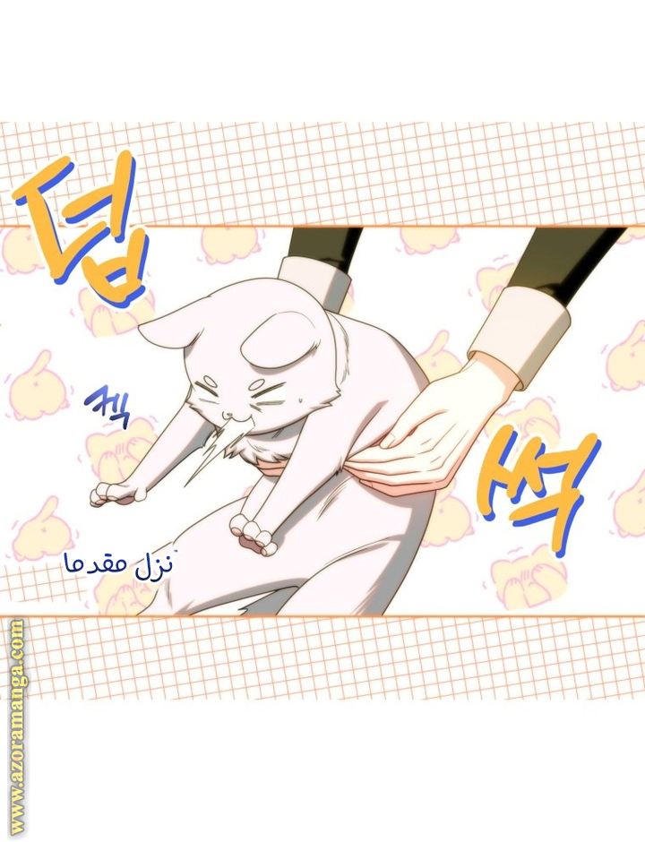 الصفحة 19