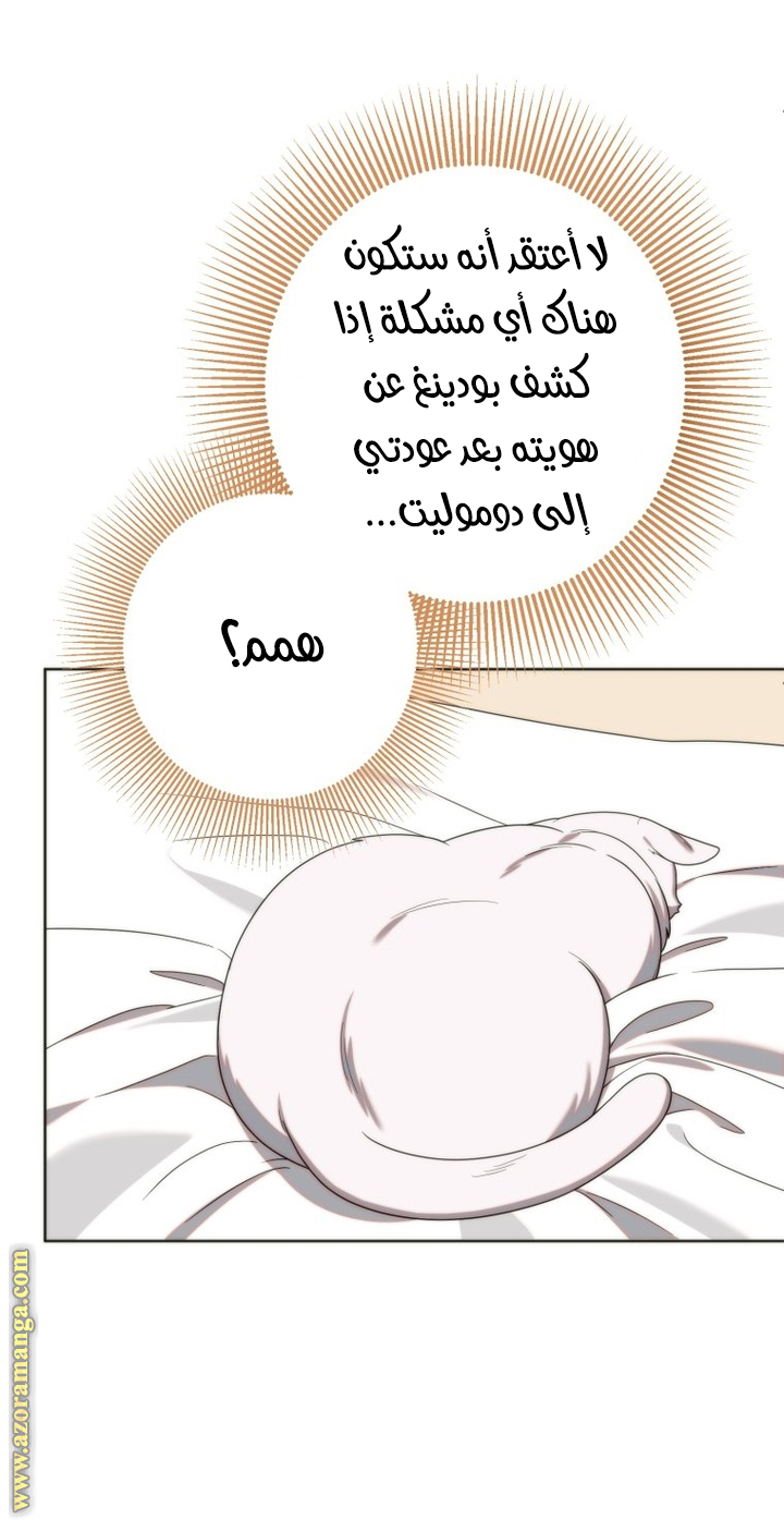 الصفحة 29