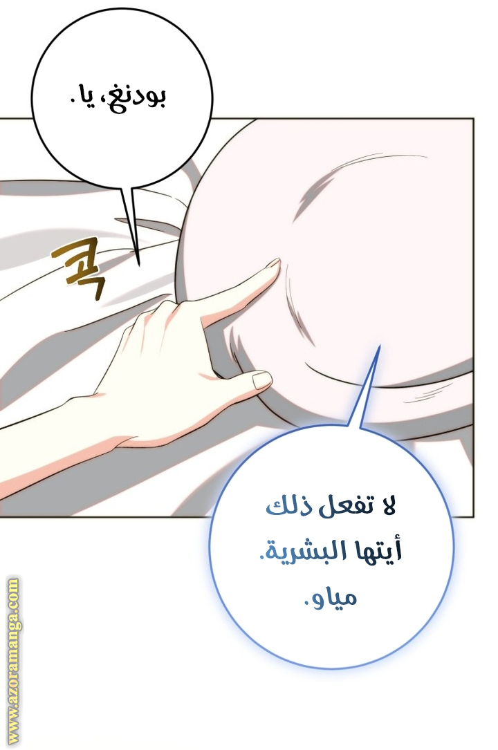 الصفحة 30