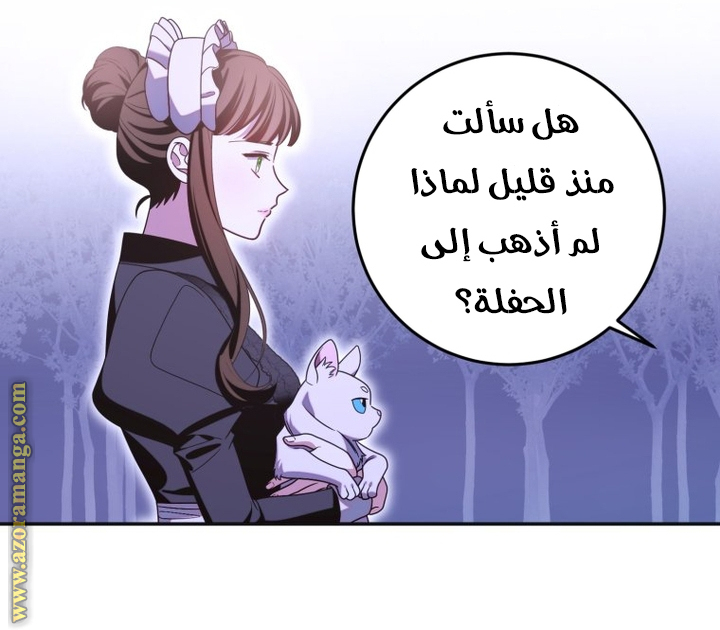 الصفحة 27