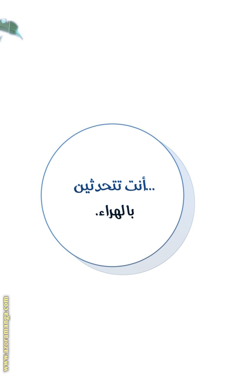 الصفحة 37