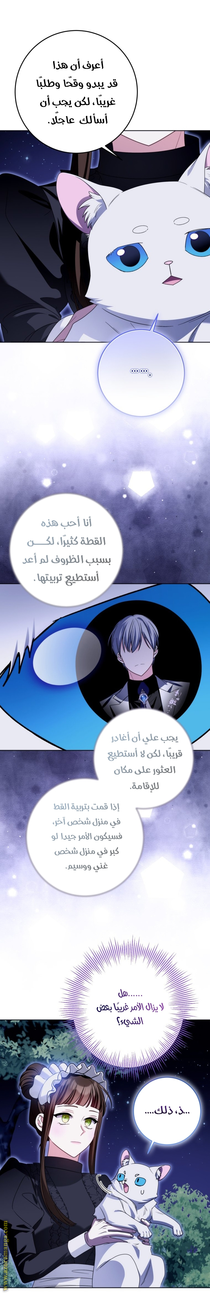 الصفحة 19