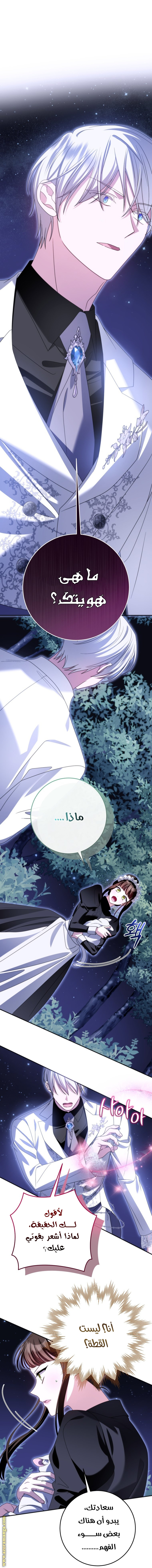 الصفحة 30
