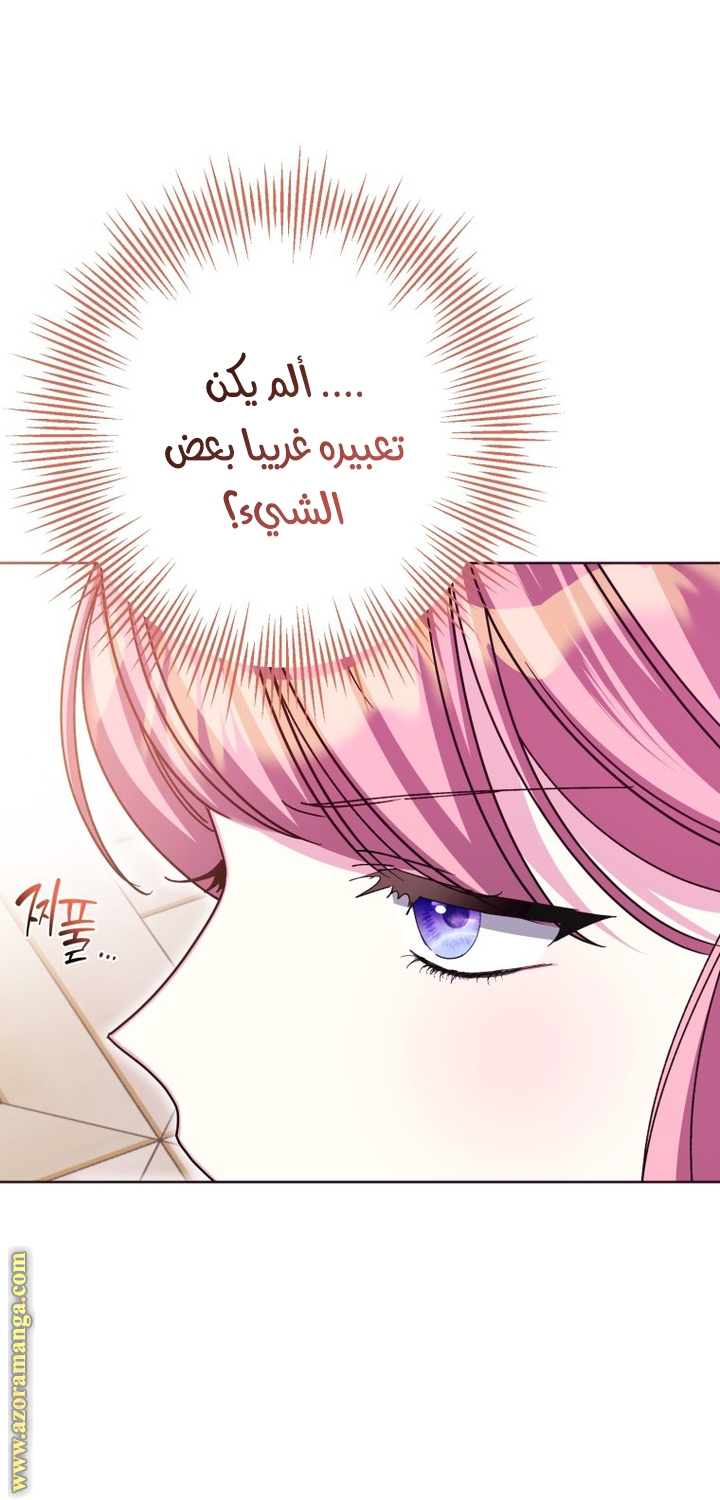 الصفحة 26