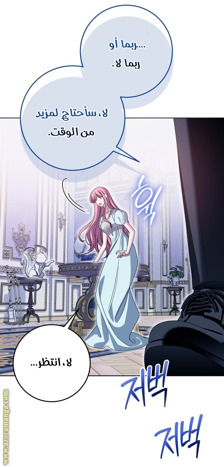 الصفحة 46