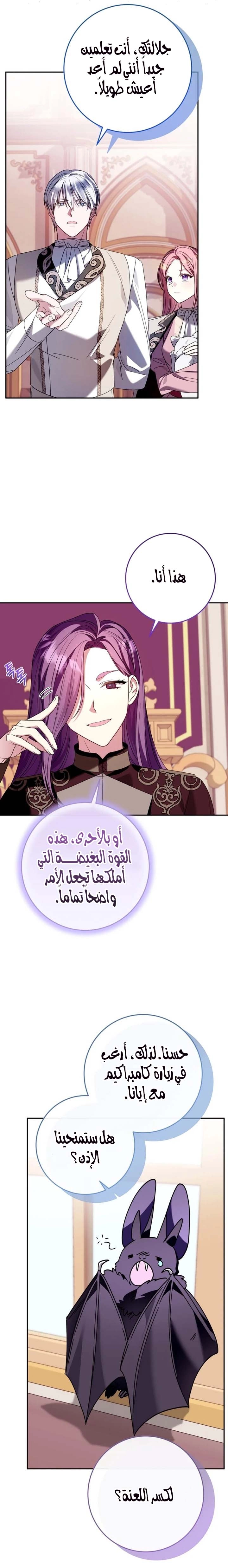 الصفحة 12