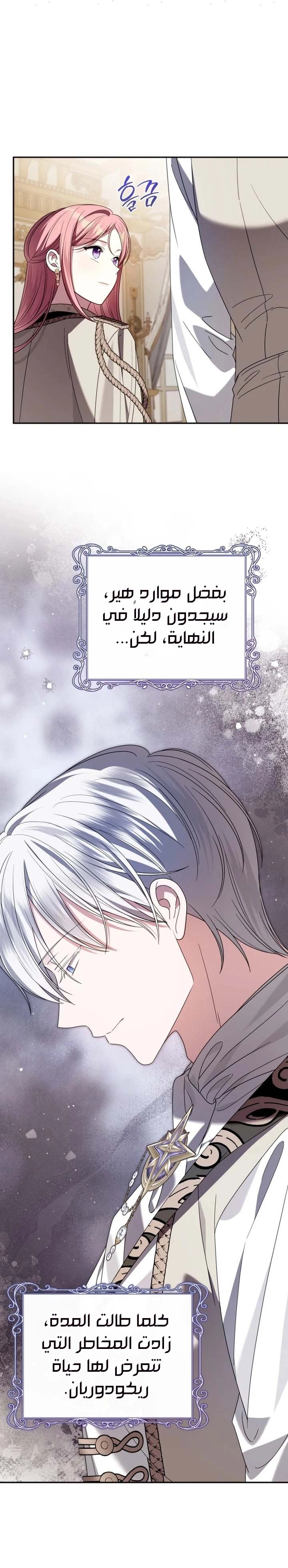 الصفحة 20