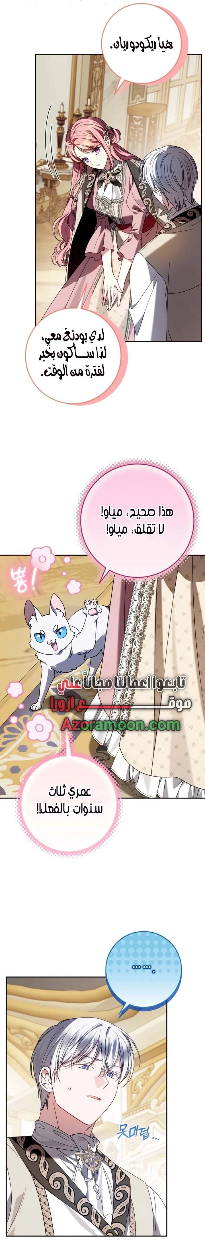 الصفحة 25