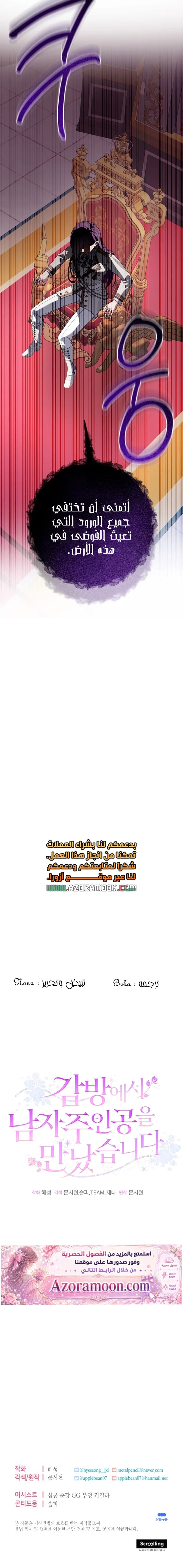 الصفحة 17