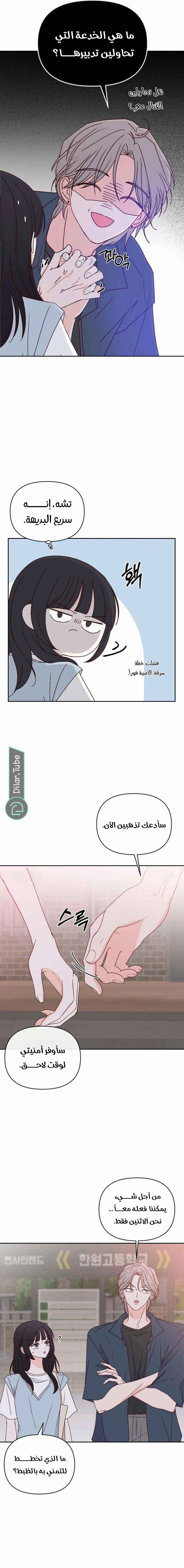 الصفحة 3