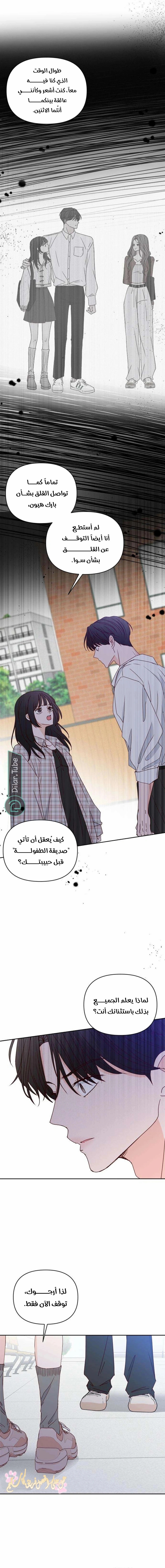 الصفحة 13