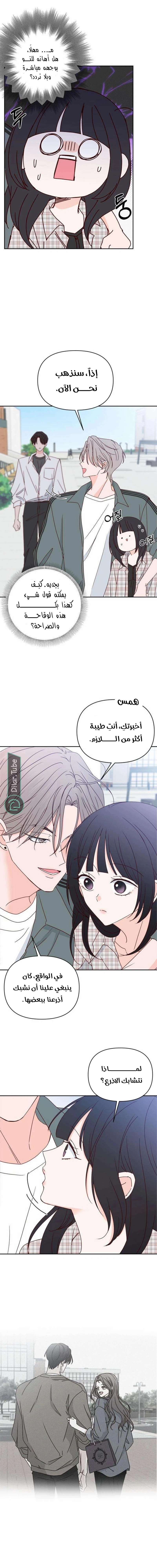 الصفحة 17