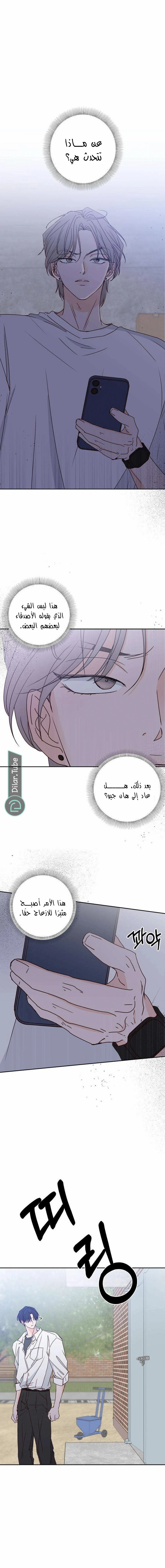 الصفحة 13