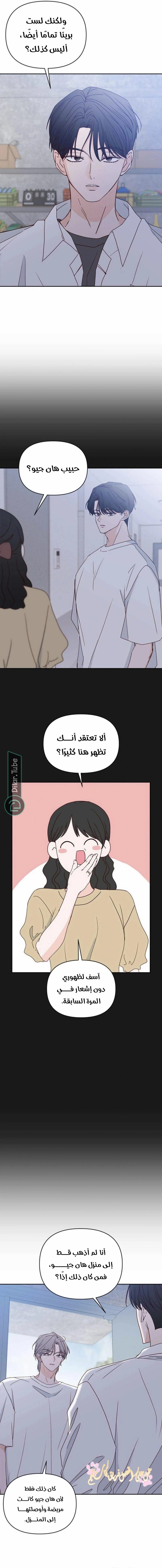 الصفحة 16