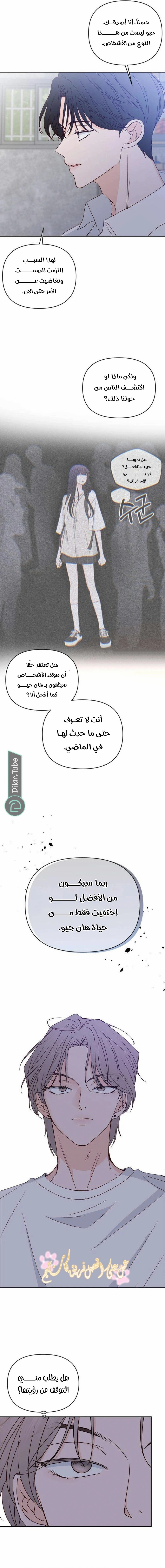 الصفحة 17