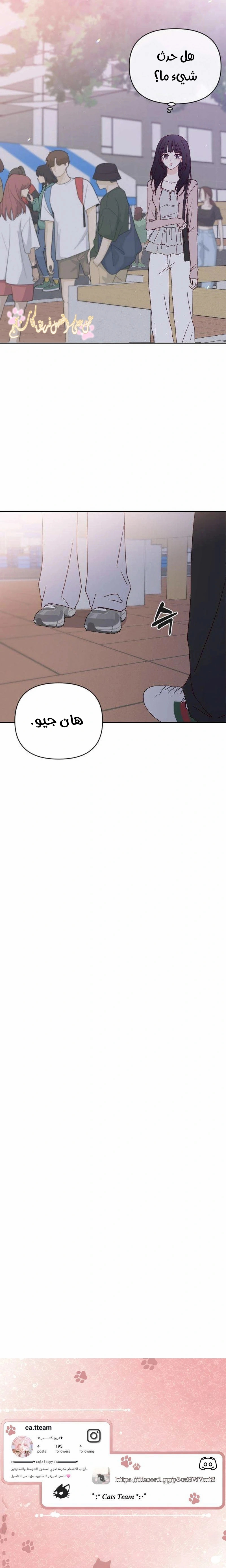الصفحة 19