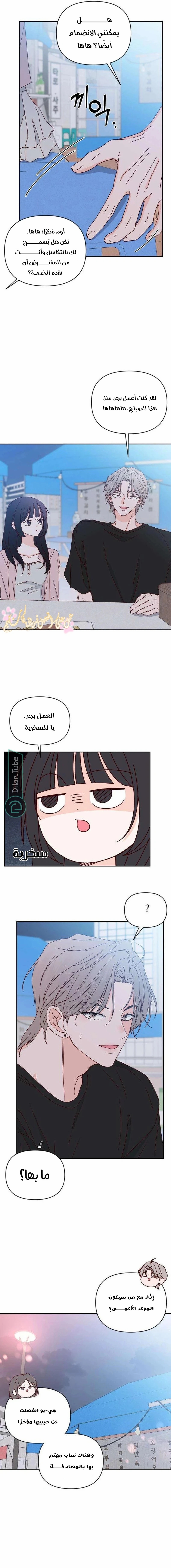 الصفحة 8