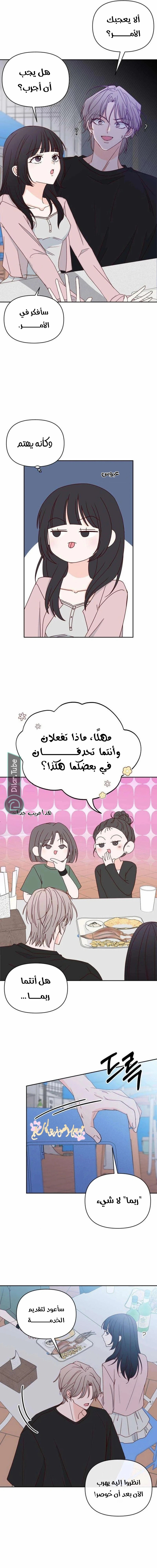 الصفحة 11