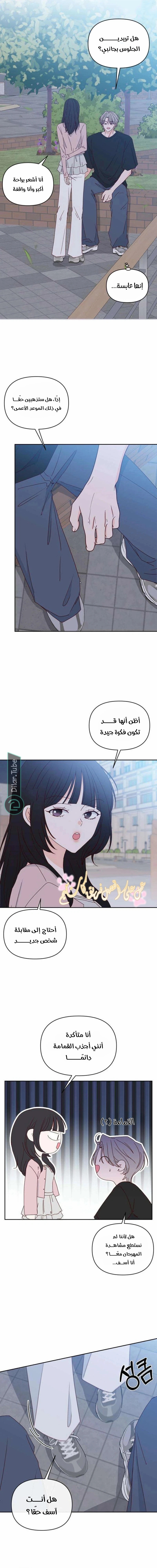 الصفحة 13