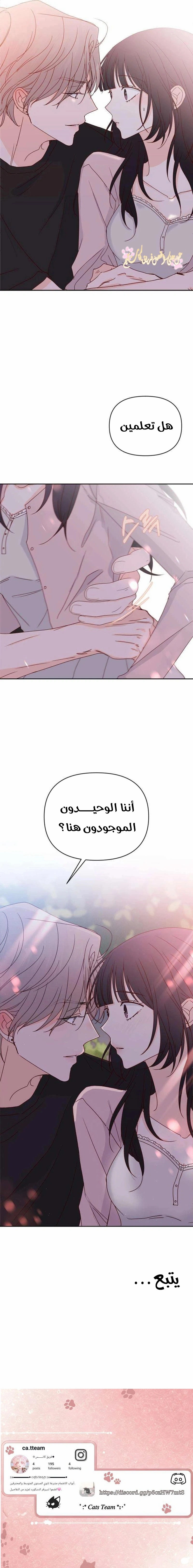 الصفحة 19