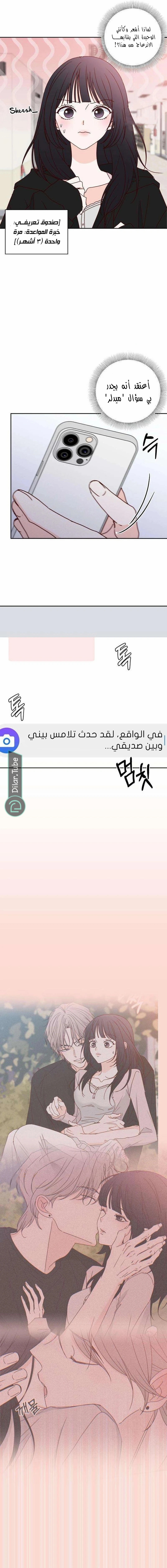 الصفحة 11