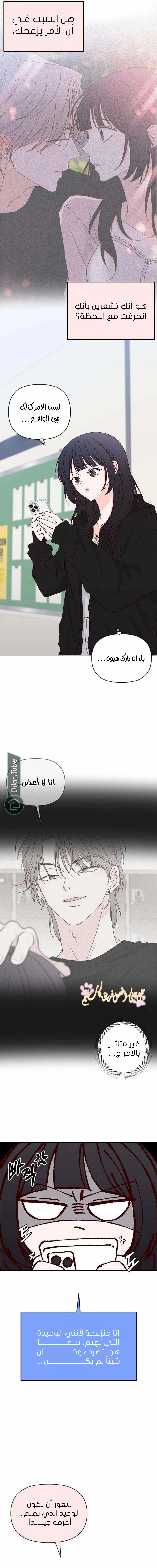 الصفحة 13