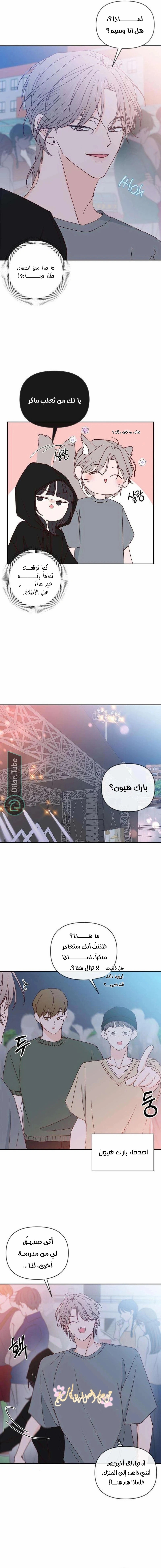 الصفحة 17