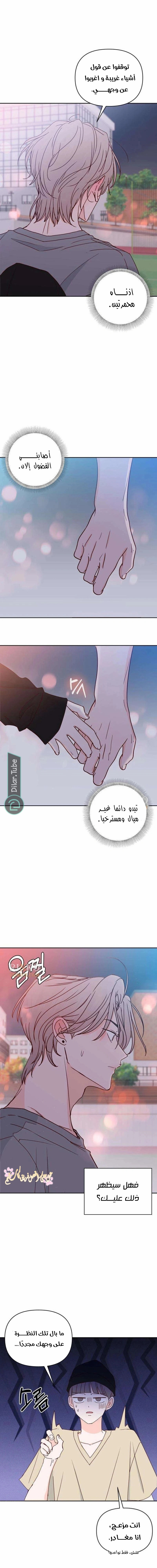 الصفحة 19
