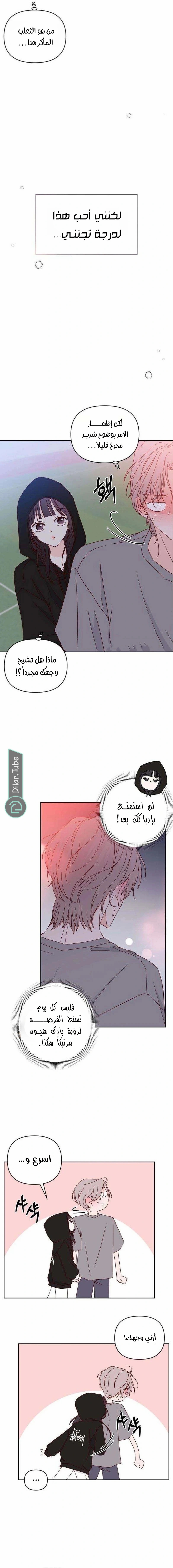 الصفحة 3