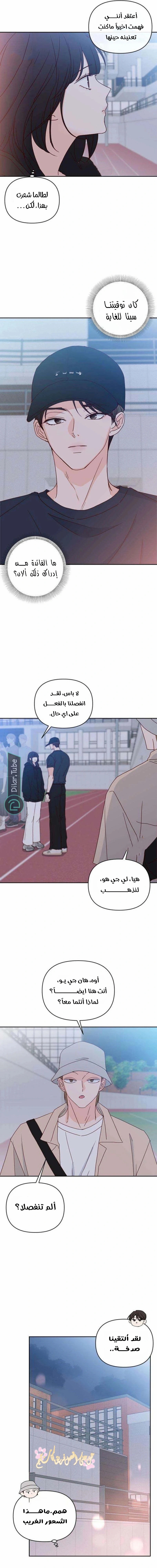 الصفحة 13