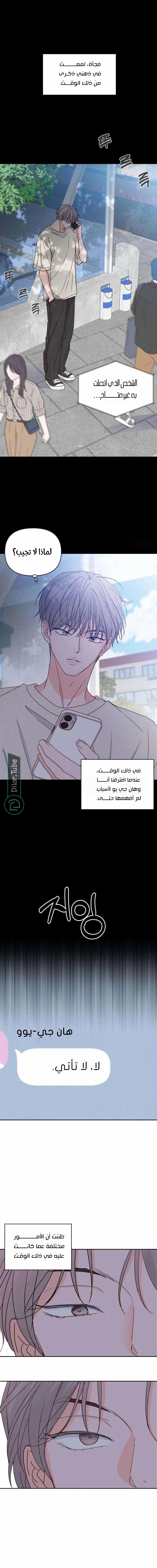 الصفحة 17