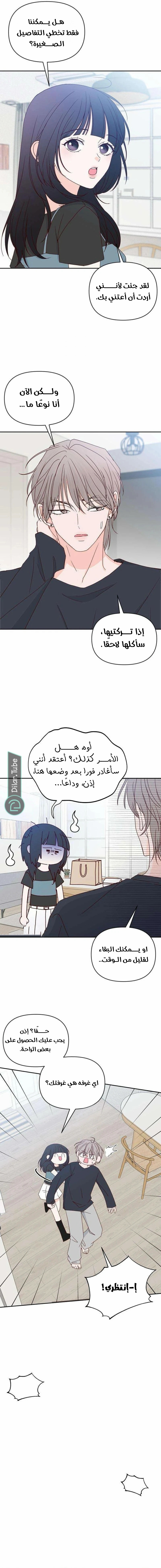 الصفحة 11