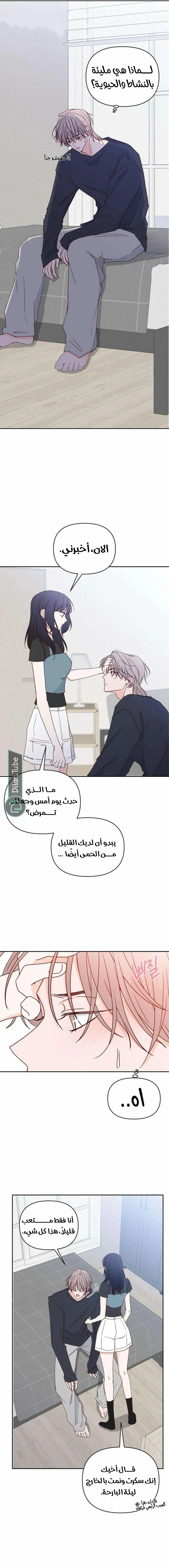 الصفحة 12