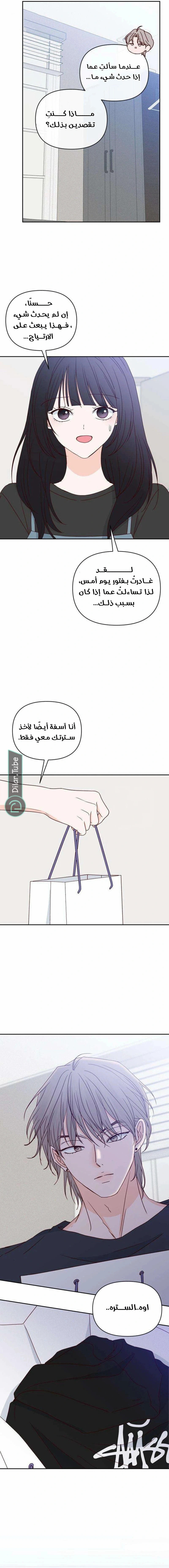 الصفحة 14