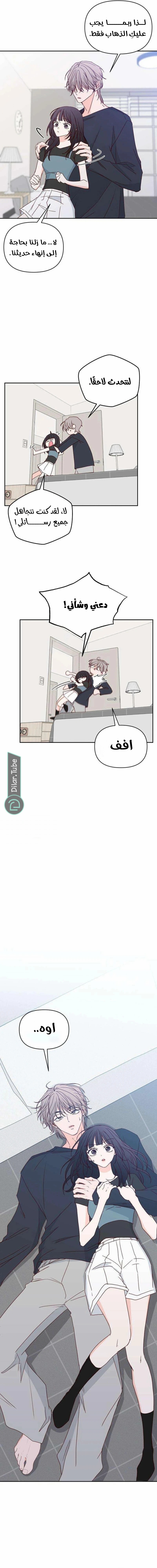 الصفحة 17