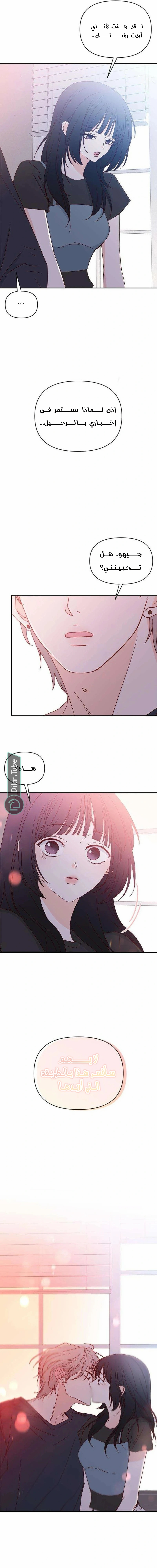 الصفحة 19