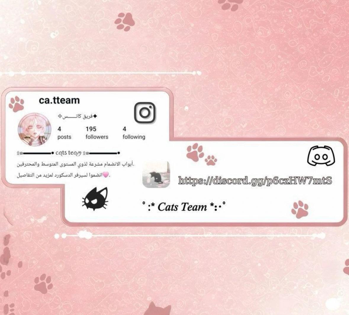 الصفحة 20