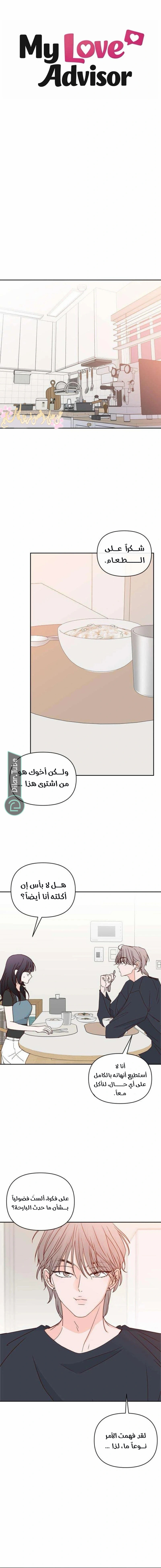 الصفحة 13