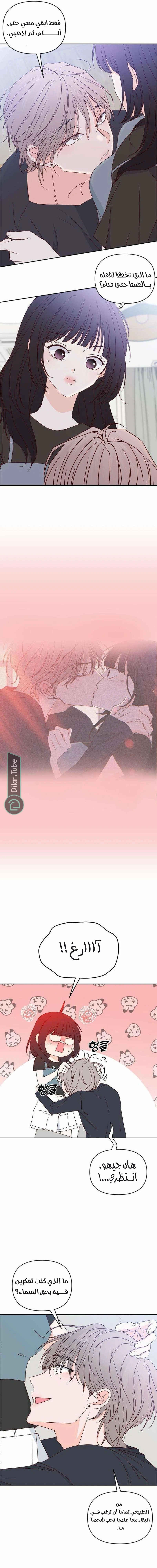 الصفحة 17