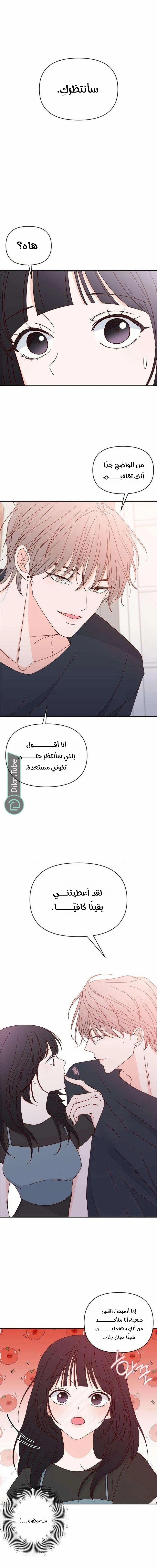 الصفحة 17