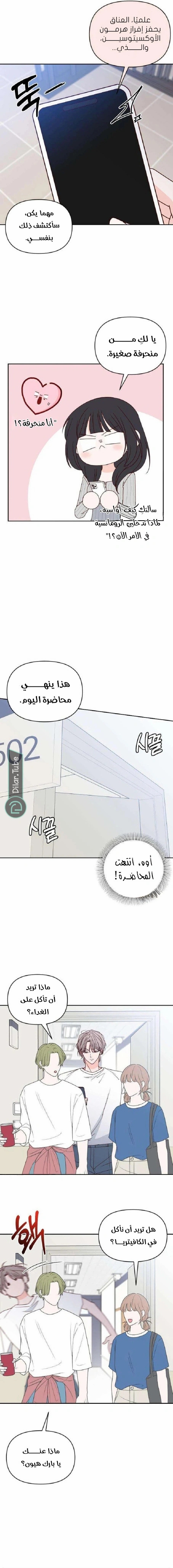 الصفحة 6