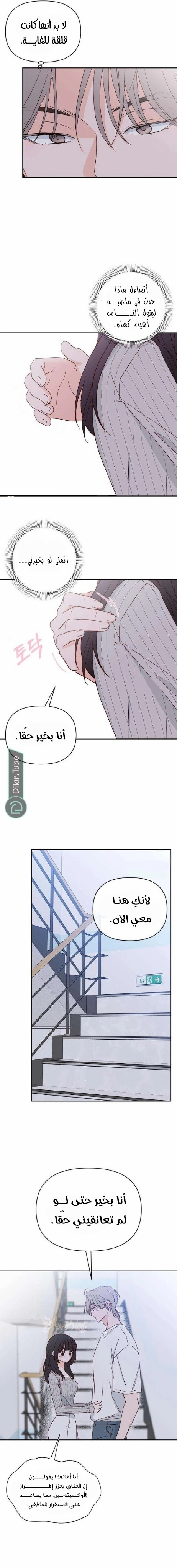الصفحة 14