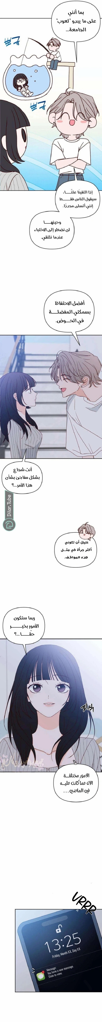 الصفحة 17