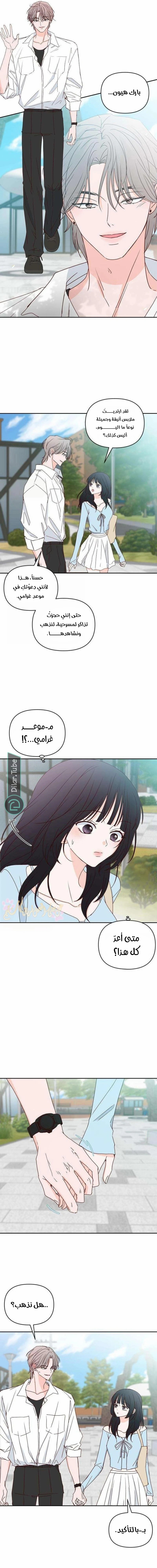 الصفحة 8
