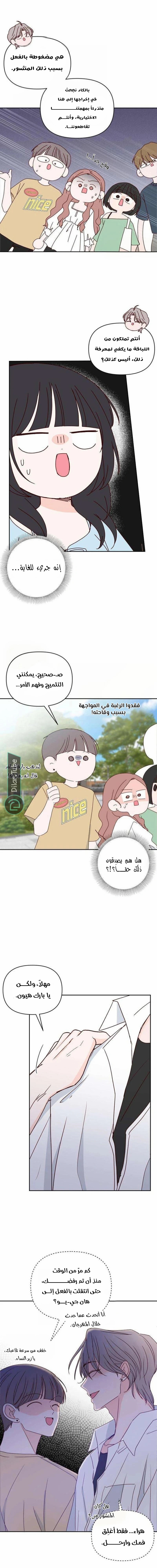 الصفحة 15