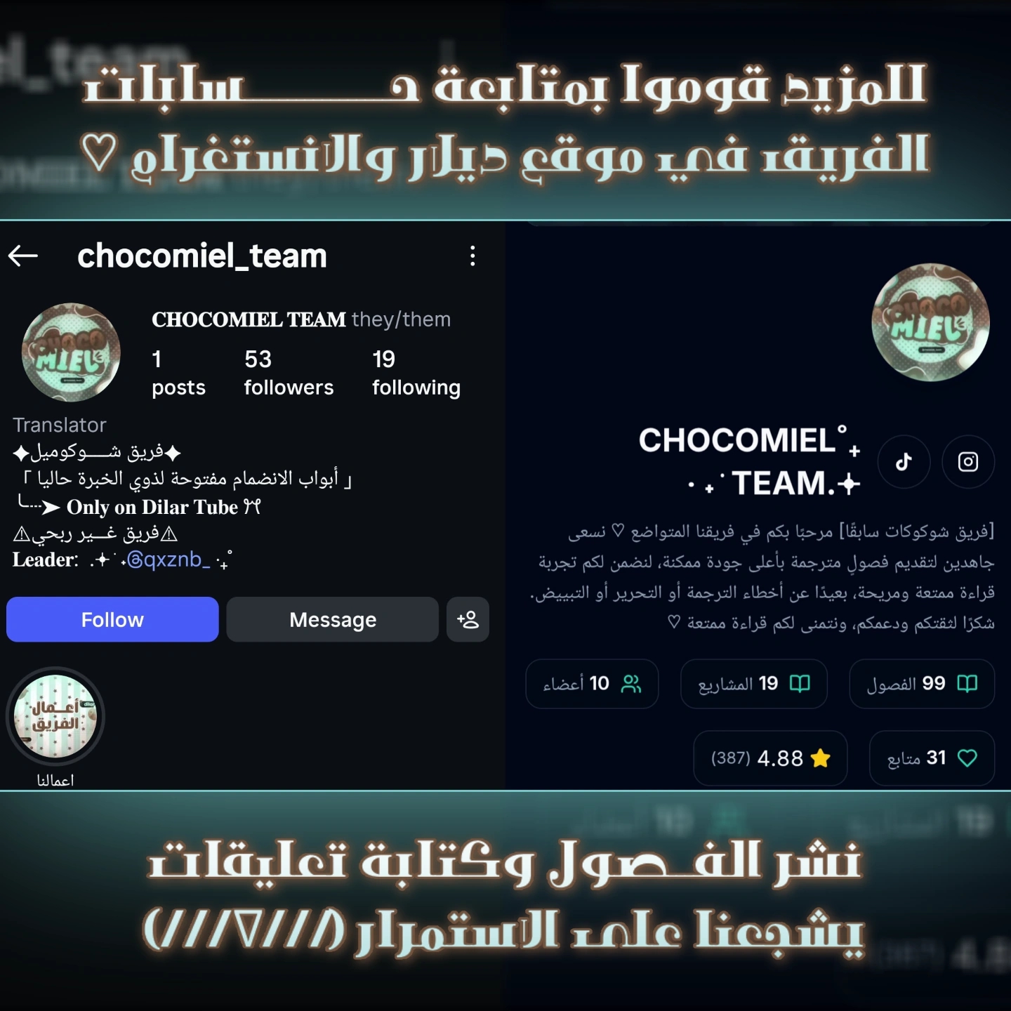 الصفحة 13