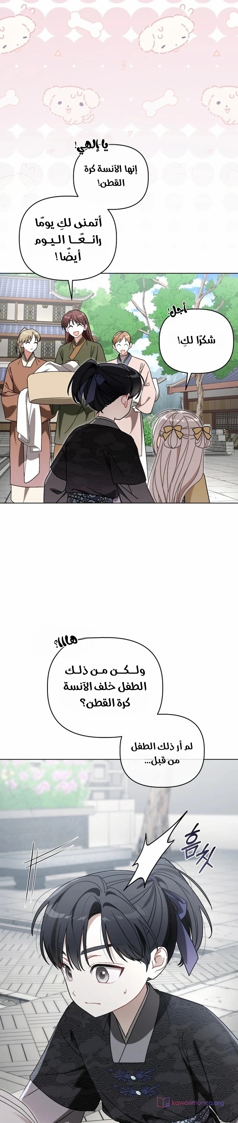 الصفحة 13