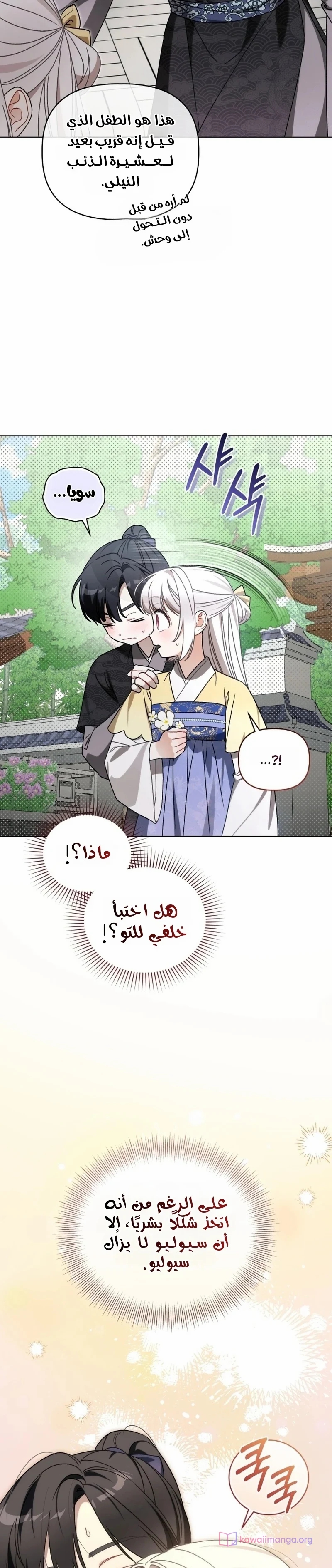 الصفحة 14