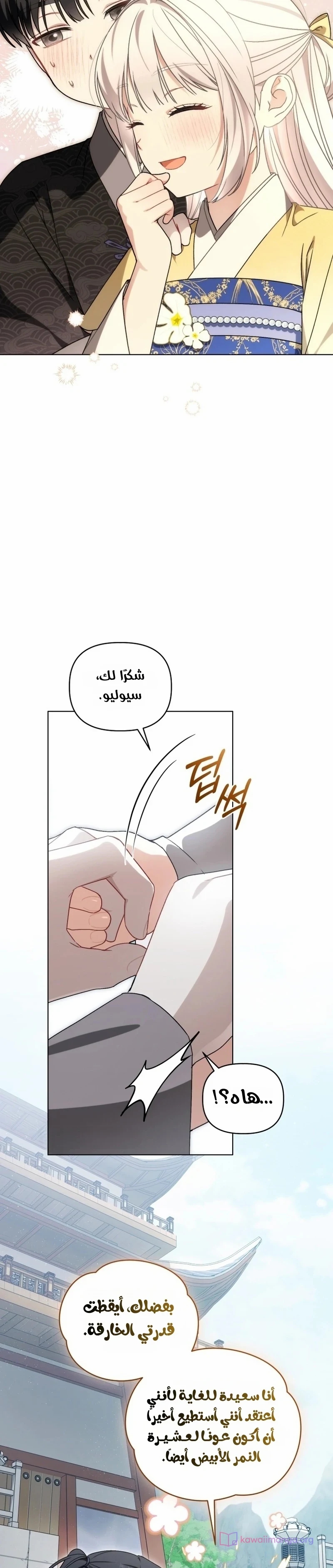 الصفحة 15
